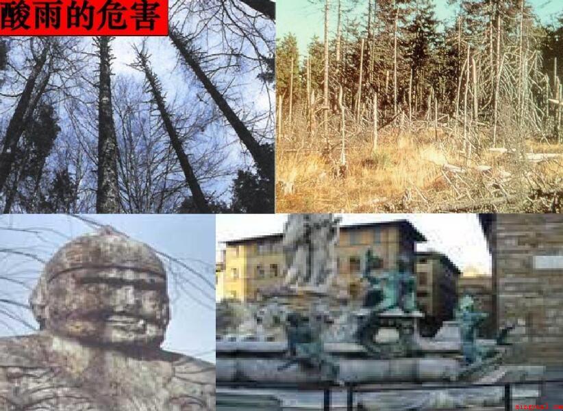 酸雨的主要成分化学方程式是啥