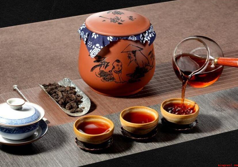 发醇茶有哪些