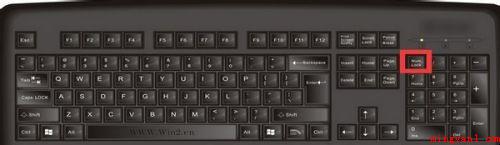 键盘右侧的数字键用不上该怎么办
