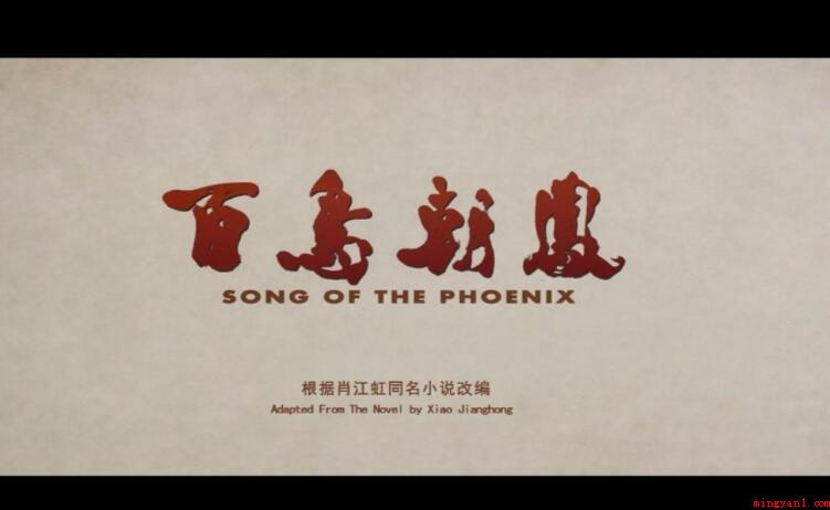 《百鸟朝凤》观后感怎么写