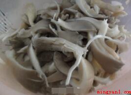 平菇炒肉片的做法是什么