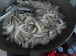 平菇炒肉片的做法是什么