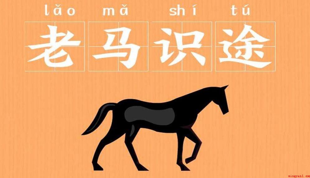老马识途的反义词是什么