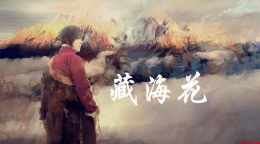 《藏海花》完成了没有