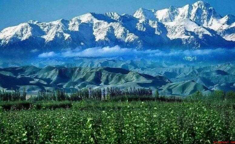 世界十大名着有哪些书