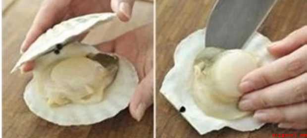 扇贝肉怎样清洗
