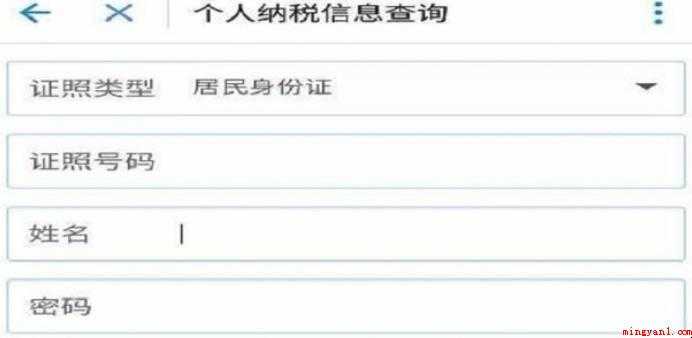 如何在网上查个人所得税