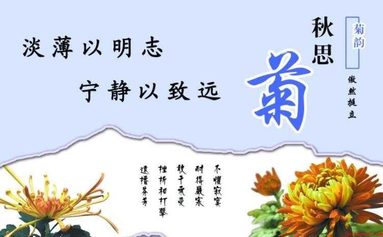 文明宣传语有什么