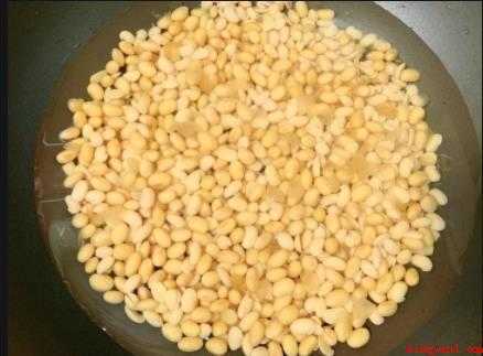 豆豉怎样制作