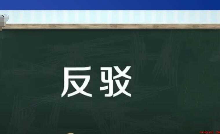反驳