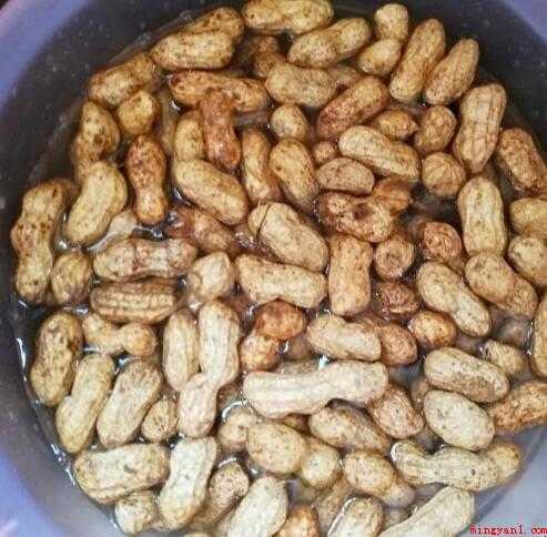煮花生怎么煮
