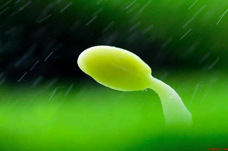 五风十雨有哪些造句