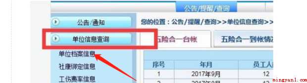 如何导出社保明细