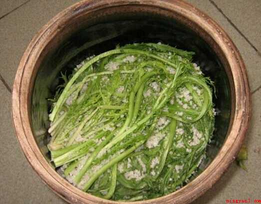 如何腌雪里红