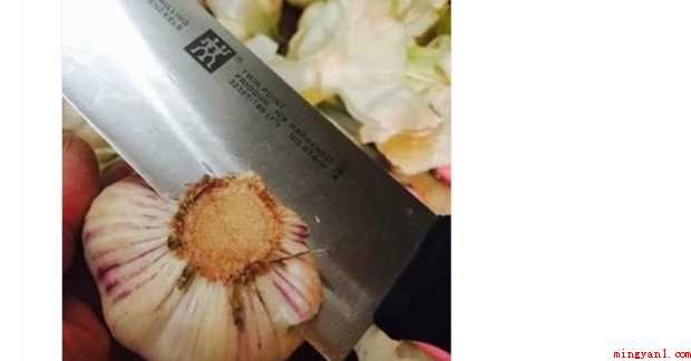 醋泡大蒜怎样做