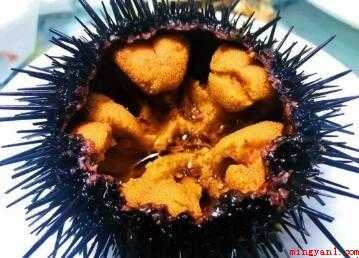 海胆怎样做才好吃