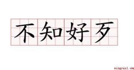 不知好歹是什么意思