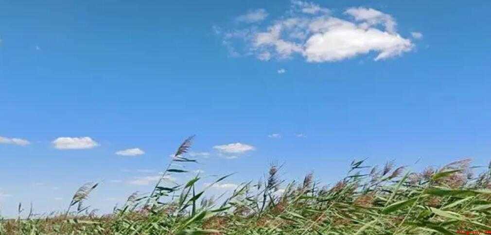 描写天气的成语有哪些