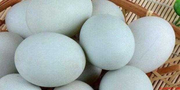 皮蛋怎样做