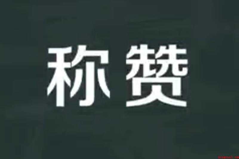 称赞的反义词有哪些