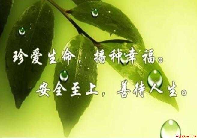 关于珍惜生命的句子有哪些