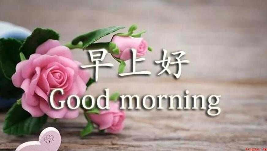 早安问候语正能量的有什么