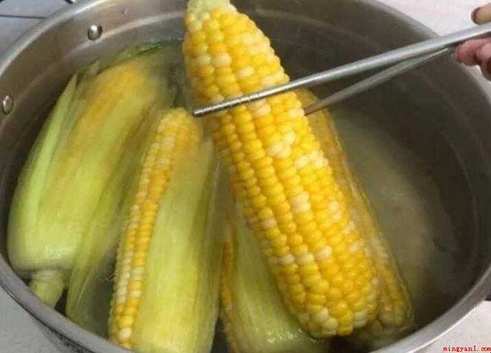 煮玉米时间越长越好吗