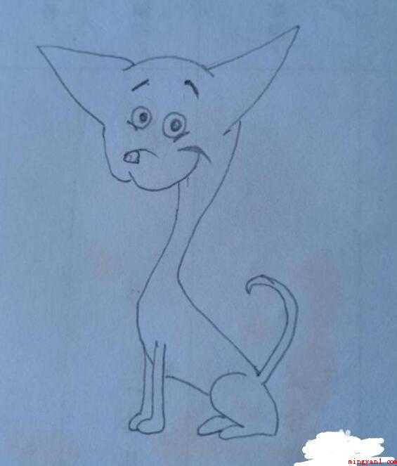 如何画吉娃娃简笔画