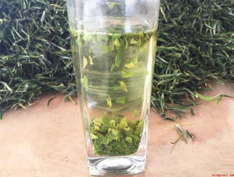 六安瓜片是什么茶