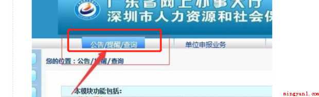 如何导出社保明细