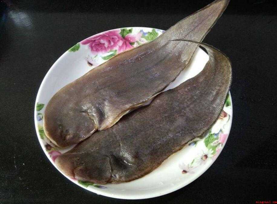 龙利鱼归属于海鲜类吗