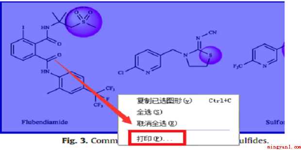 pdf怎样调整页面只打印部分内容