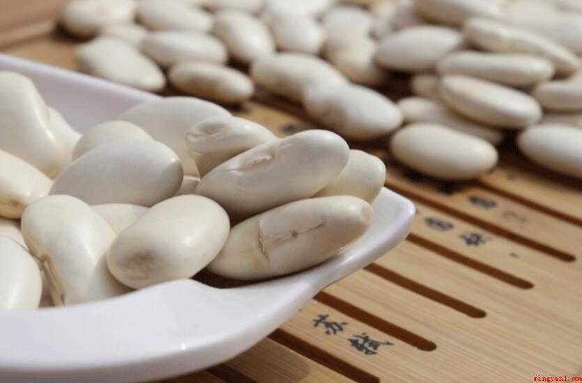 白芸豆是啥