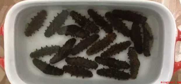 干海参怎样发泡
