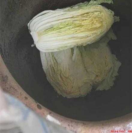 酸白菜如何腌制