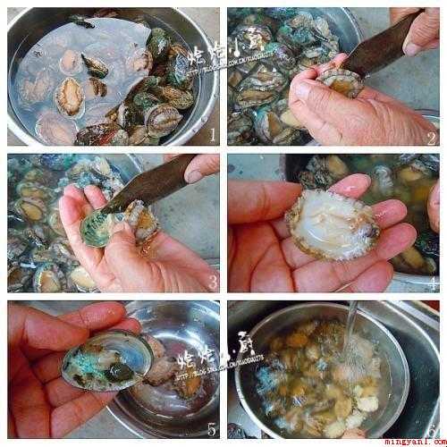 怎样清洗鲍鱼