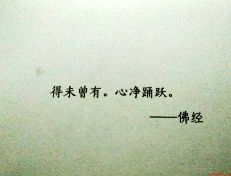 踊跃的意思是什么