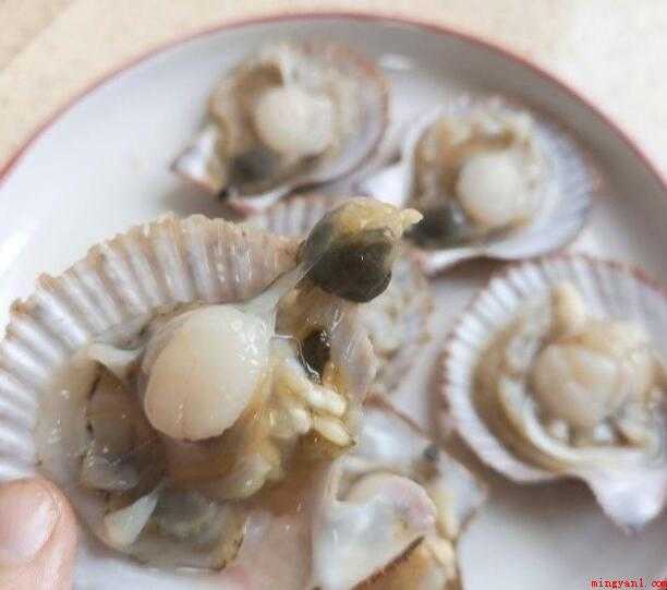 蒸蒜蓉扇贝的流程怎么样