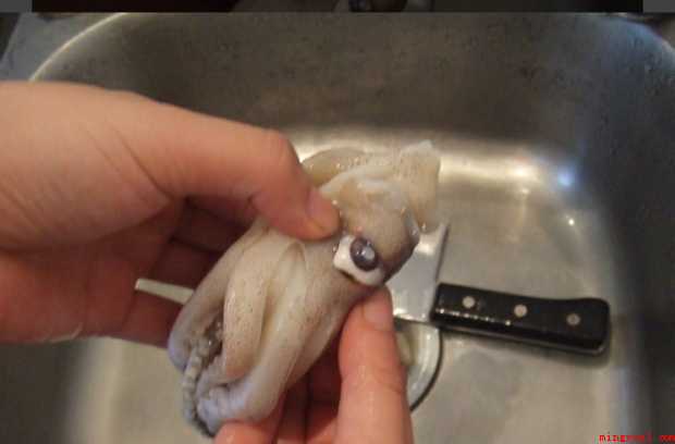 鱿鱼怎样清洗