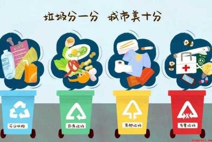 垃圾分类知识有什么