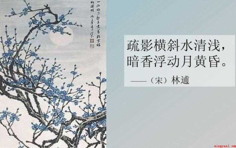 疏影横斜水清浅下一句是什么