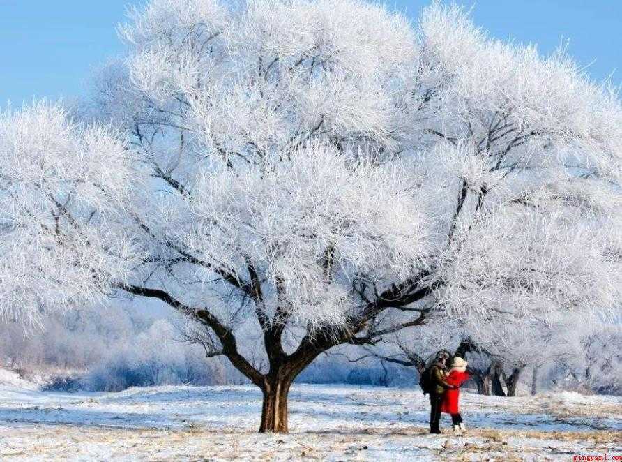 雪