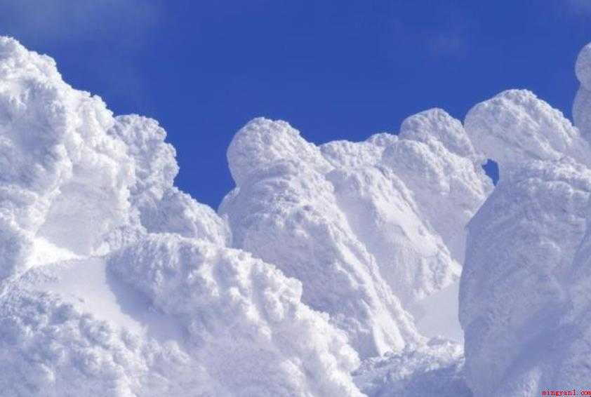 雪白