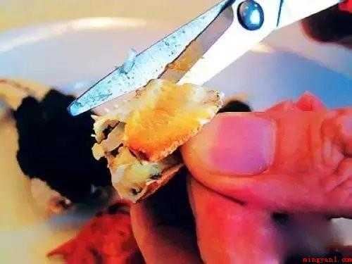 大闸蟹在食用前如何处理