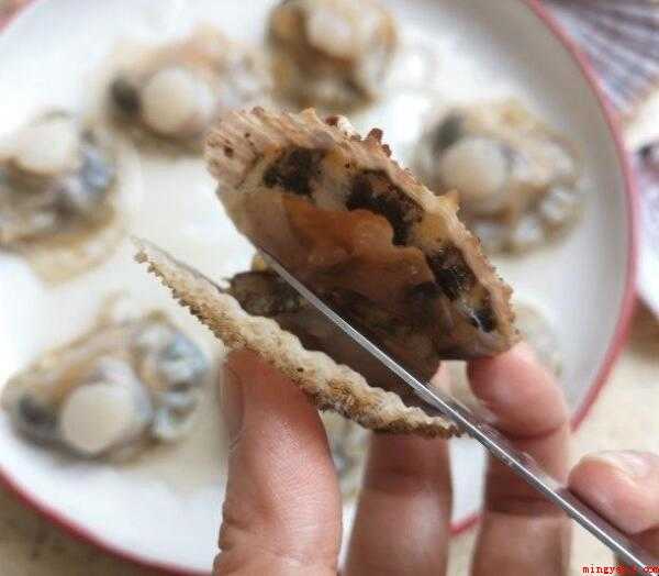 蒸蒜蓉扇贝的流程怎么样