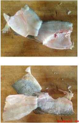 松鼠桂鱼怎样做