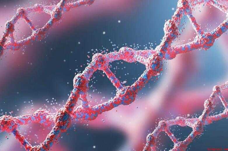 初中生物学习方法总结是什么
