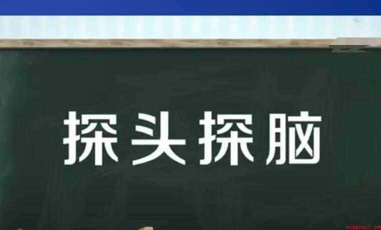 探头探脑是什么意思