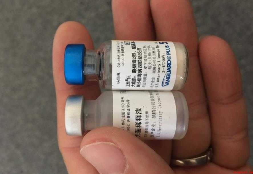 五联疫苗