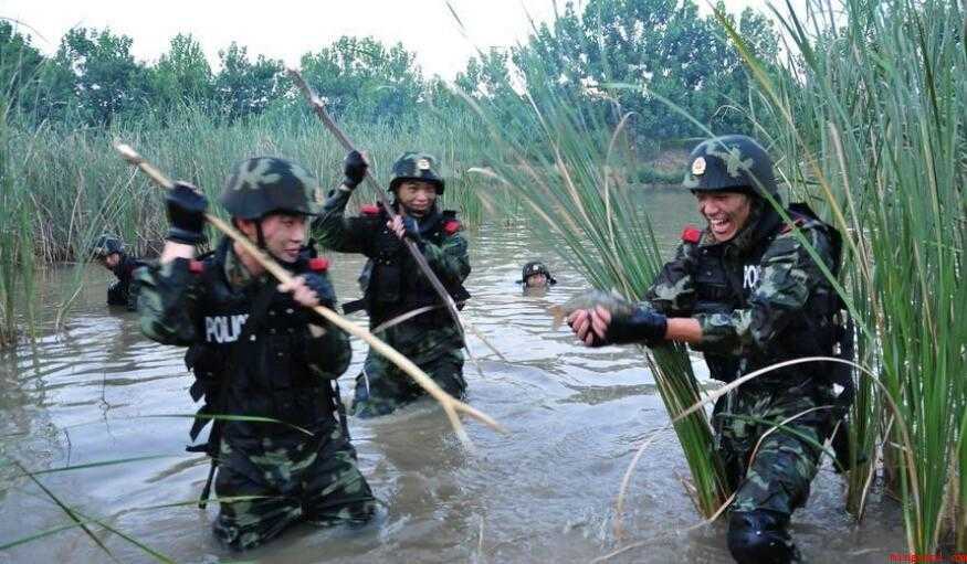 逮的意思是什么